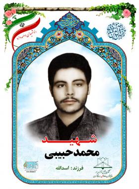 محمد حبیبی