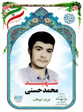 محمد حسنی
