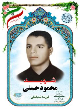 محمود حسنی