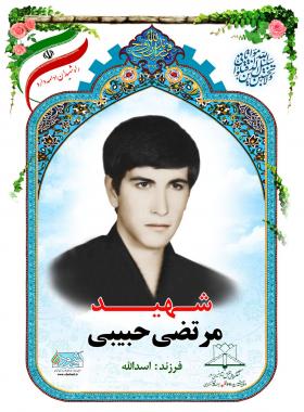  مرتضی حبیبی
