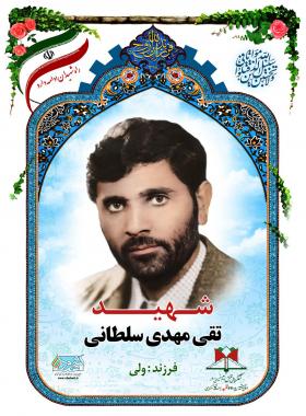 تقی مهدی سلطانی