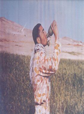 علی موقر