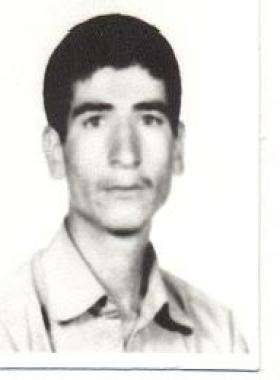 جواد موگویی