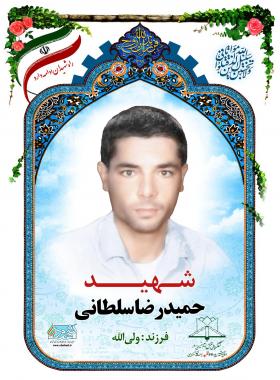 حمیدرضا سلطانی