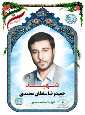حمیدرضا سلطان محمدی