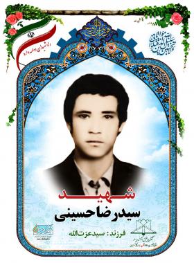 سید رضا حسینی