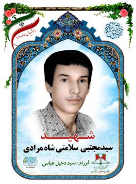 سید مجتبی سلامتی شاهمرادی