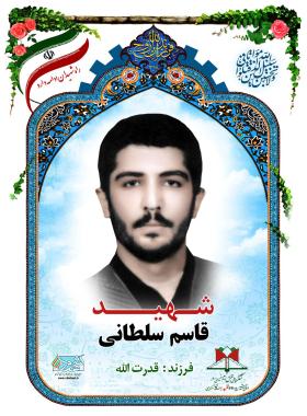 قاسم سلطانی
