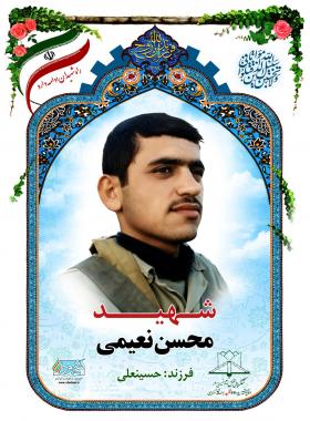 محسن نعیمی