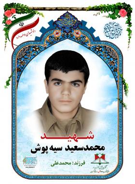 محمدسعید سیه پوش