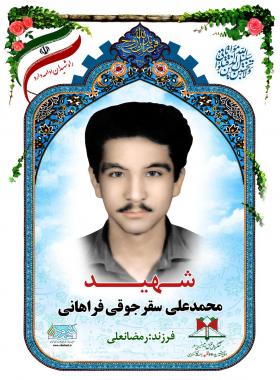  محمدعلی سقرجوقی فراهانی