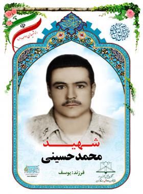 محمد حسینی