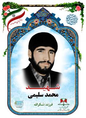 محمد سلیمی