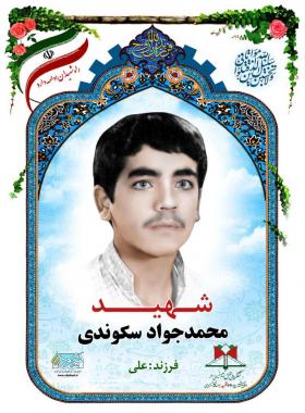 محمدجواد سکوندی