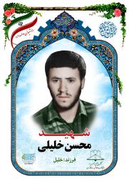 محسن خلیلی