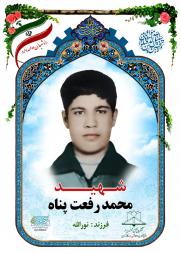  محمد رفعت پناه