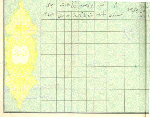 حسین حسنی