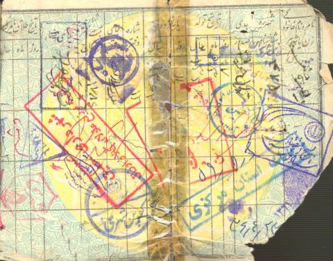  داود حسنی