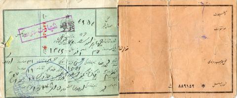 محمدرضا حسنی