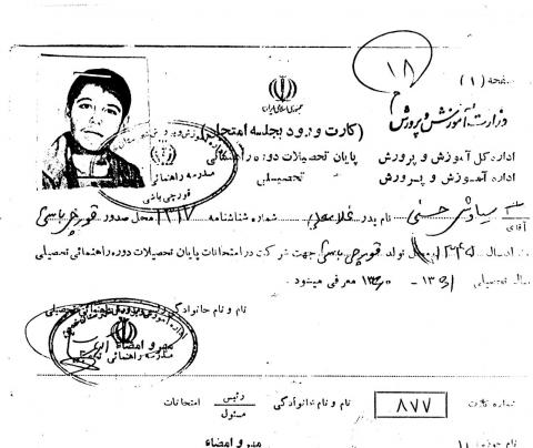 سیاوش حسنی