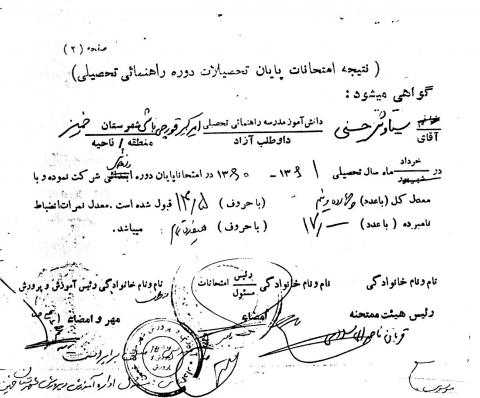سیاوش حسنی