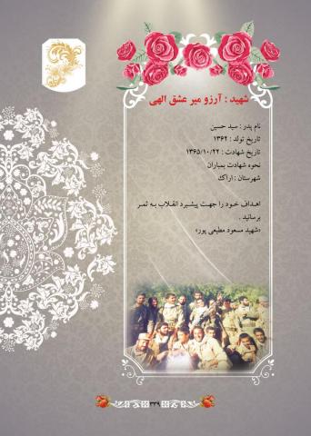 سیده آرزو میرعشق الله