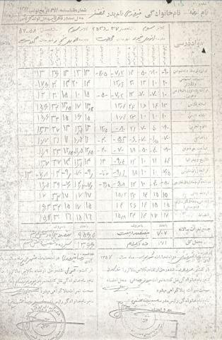 رضا فیروزی