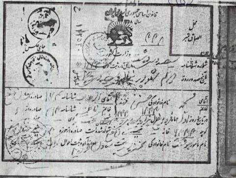 محمد حسنی