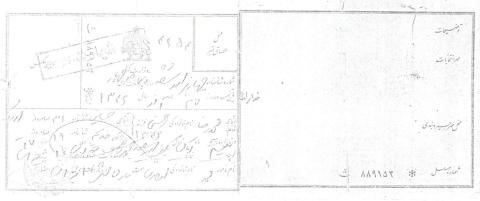 محمدرضا حسنی