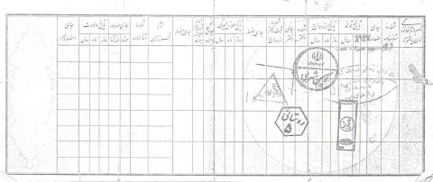 محمدرضا حسنی
