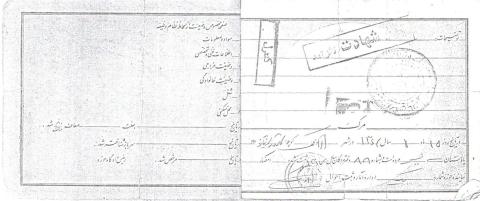 محمدرضا حسنی