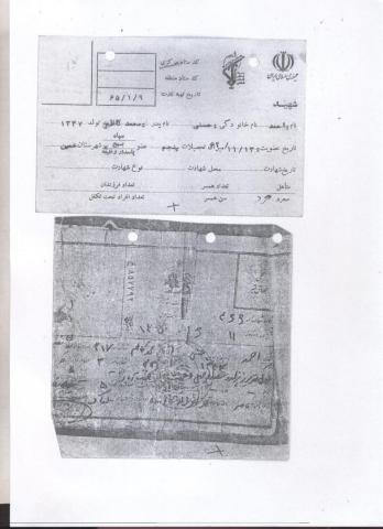 احمد حسنی