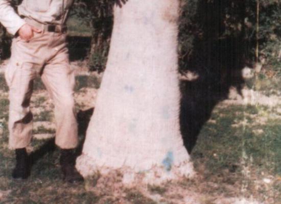 علی اصغر قنبری