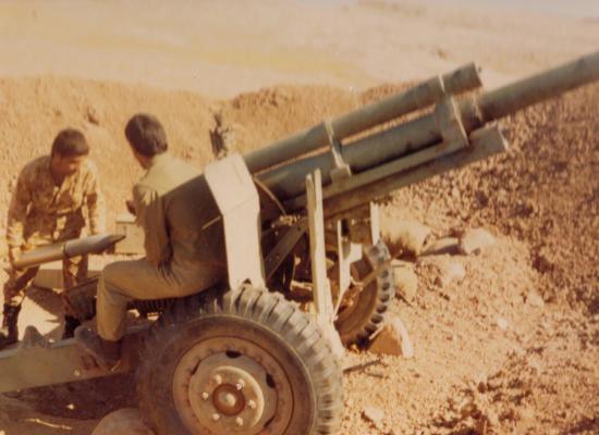 محسن حسن زاده