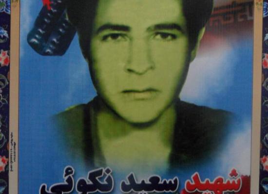 سعید نکویی غینری