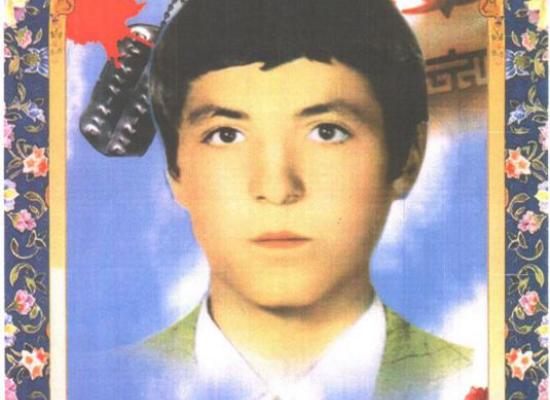علی نعمتی فشکی