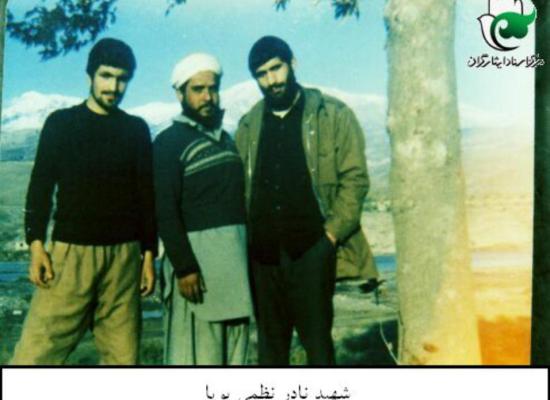 نادر نظمی پویا