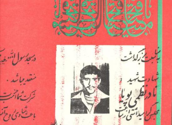 نادر نظمی پویا