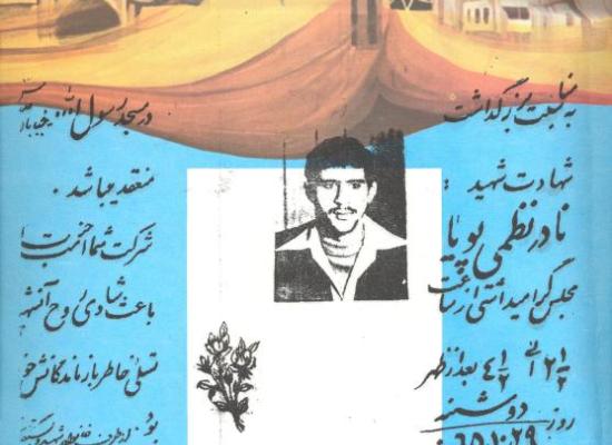 نادر نظمی پویا