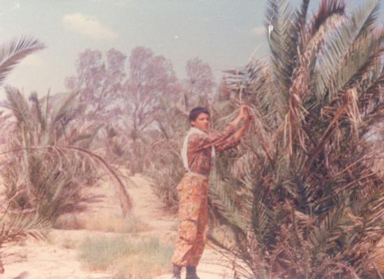 ابوالفضل حسن میری