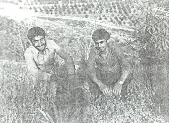 اسماعیل علی آبادی فراهانی