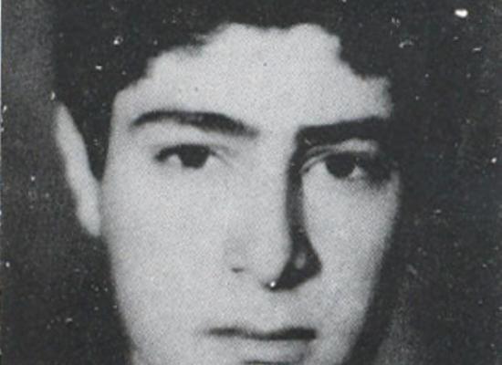 امین گرگین