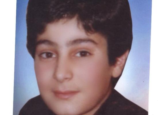 امین گرگین
