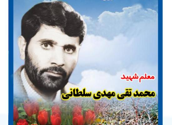 تقی مهدی سلطانی