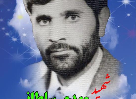 تقی مهدی سلطانی