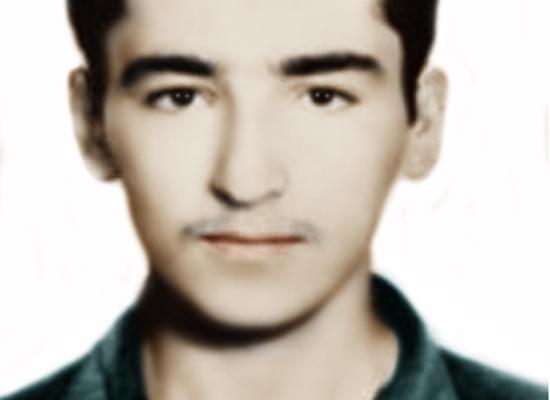 حسین حبیبی