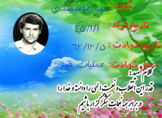 حمیدرضا علی محمدی