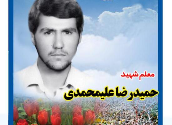 حمیدرضا علی محمدی