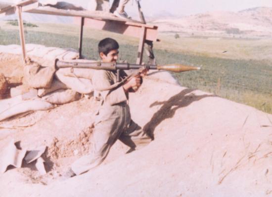 داود حسنی