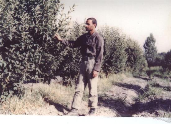 رحمانعلی سلیمی